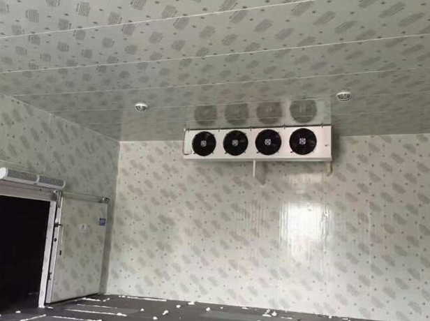 宜宾小型果蔬冷库设计方案有哪些要点?